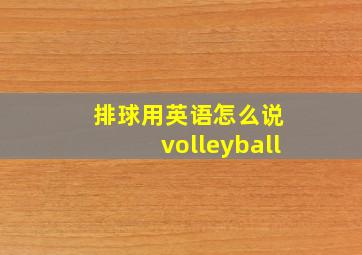 排球用英语怎么说 volleyball